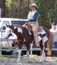 AQHA Mare for Sale $1000-