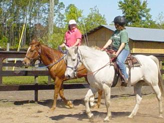 horse back riding lessons