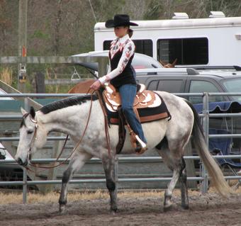 AQHA Western Pleasure Show Gelding for sale