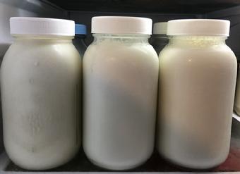 Fresh Goat Milk for Sale in Fernandina Beach Florida