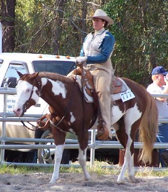APHA Stud breeding in Florida