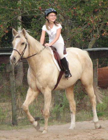 AQHA Palomino Mare for Sale