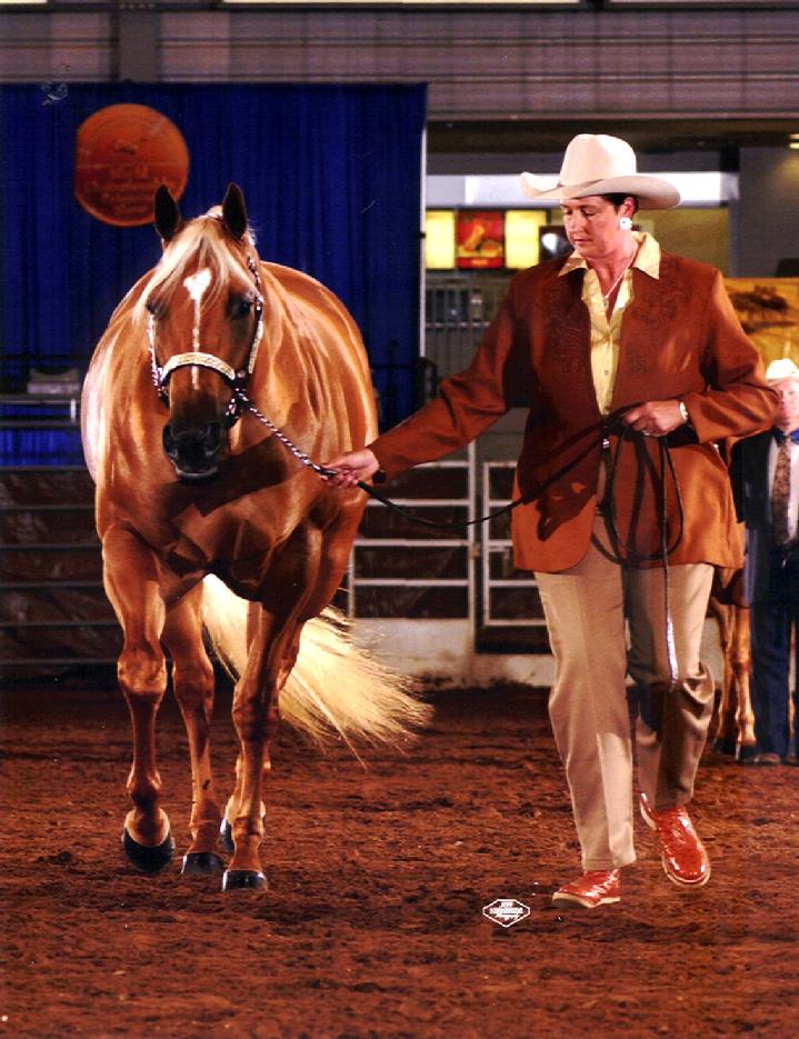 Palomino World Show 2004